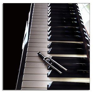 Filmmaking and Film Editing,Music,Music Industry,Music Reviews,Photography