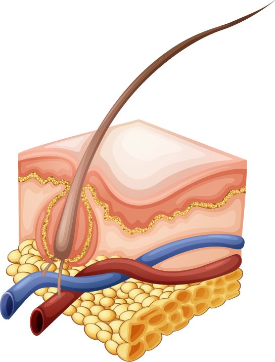 Real-Life STEM: The Chemistry of Hair Color - STEMJobs Real-Life STEM: The Chemistry of Hair Color - STEMJobs