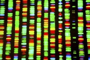 DNA Day
