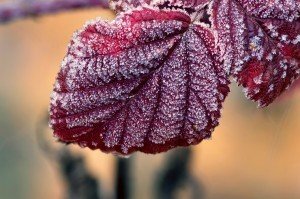 autumnal equinox