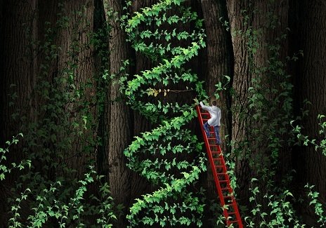 gene therapy