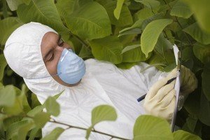 careers in agriculture