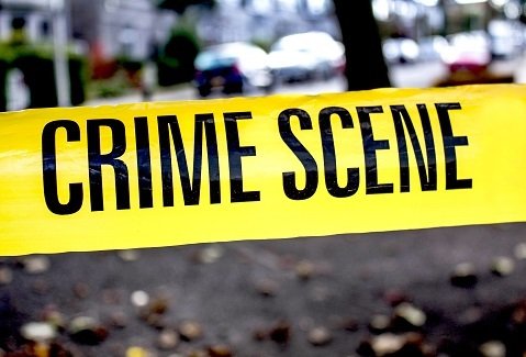 criminal investigator