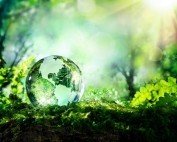 sources of renewable energy
