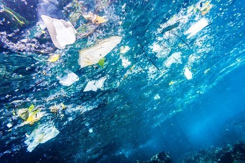 Great Pacific Garbage Patch